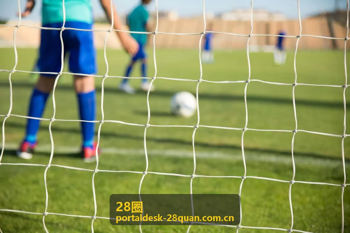 28圈会员在投资决策中的价值